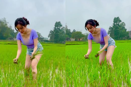 Hot girl Bà Tưng gây tranh cãi vì mặc hớ hênh khi làm ruộng