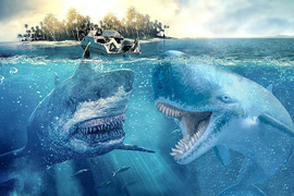 Tiết lộ sốc: Siêu cá mập Megalodon còn sống, đang náu mình dưới đại dương? 