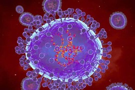 Virus HMPV gây viêm phổi có lây qua quan hệ tình dục?