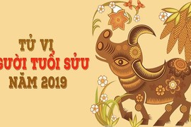 Tử vi tuổi Sửu năm 2019: Gia đạo bất ổn, phòng tai nạn, đau ốm