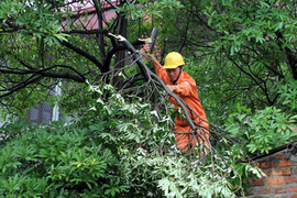 Lưới điện Hà Nội sẵn sàng trước mùa mưa bão