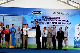 Vinamilk thu mua sữa tươi nguyên liệu của nông dân 