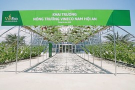 Khám phá nông nghiệp hàng đầu thế giới bên trong Vineco Nam Hội An