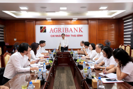 Agribank tổ chức các đoàn công tác nắm tình hình, khắc phục thiệt hại cơn bão số 3