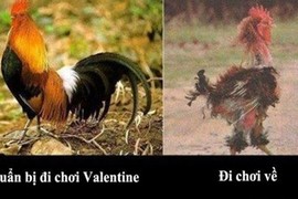 Ảnh chế hài hước vô đối về nỗi khổ Valentine