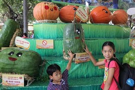 Ngắm "hàng khủng" tại lễ hội trái cây Nam Bộ 2017