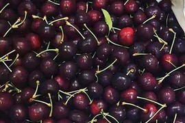 Nghi ngại nguồn gốc quả cherry giá rẻ “giật mình”