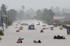 Người Mỹ chèo thuyền, bơi phao vượt lũ trong bão Harvey