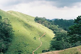 Cung đường trek đẹp nhất Việt Nam qua ảnh film