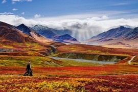 19 bức ảnh minh chứng Alaska là nơi đẹp nhất Trái đất