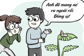 6 công dụng của bạn trai thời nay là gì?