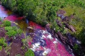 Video: Chiêm ngưỡng dòng sông kỳ lạ đổi màu độc đáo nhất hành tinh