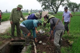 Hội Nông dân kêu gọi bà con cùng nhau diệt chuột