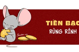 Tử vi tuổi Tý năm 2019: Túi tiền rủng rỉnh, dân FA có đôi có cặp