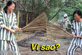 Tại sao quần áo của tù nhân lại kẻ sọc đen trắng?