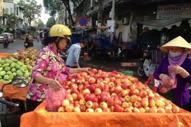 Táo Mỹ 40.000 đồng/kg ngập chợ Sài Gòn