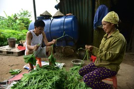 Trồng rau bí, bỏ túi tiền triệu mỗi ngày ở "đảo hoang" giữa Hà Nội