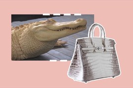 Video: Giải mã nguyên nhân túi Hermès Himalaya Birkin giá 12 tỷ đồng