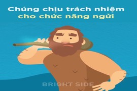 Video: Những bộ phận cơ thể từng hữu dụng với người tiền sử