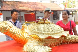 Video: Rùa dát vàng 9999 giá cả trăm triệu đồng ở Hà Nội