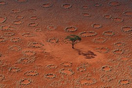 Giải mã bí ẩn về những “vòng tròn cổ tích” kỳ lạ ở Namibia