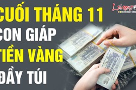 Video: Cướp hết lộc thiên hạ, 3 con giáp thăng hoa, tài vận rực rỡ cuối tháng 11