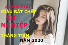 Video: Top con giáp giàu bất chấp, sự nghiệp thăng tiến ầm ầm năm 2020