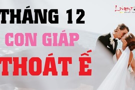 Video: Top con giáp đào hoa vượng sắc, thoát kiếp ế lâu ngày tháng 12/2019