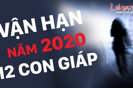 Video: Vận hạn năm 2020 của 12 con giáp, ai đen đủi xem ngay để tránh