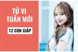 Video: Tử vi tuần mới từ 16/12 đến 22/12 năm 2019 của 12 con giáp