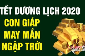 Video: 3 con giáp may mắn ngập tràn, tiền tài vượng sắc trong tết dương lịch 2020