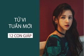 Video: Tử vi tuần mới từ ngày 20/1 đến 26/1 năm 2020 của 12 con giáp