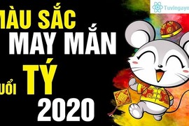 Video: Màu sắc phong thủy mang may mắn, phú quý cho 12 con giáp năm 2020 (P1)