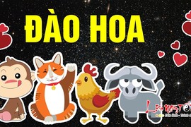 Video: 4 con giáp đào hoa, hạnh phúc ngập tràn trong ngày Valentine 2020