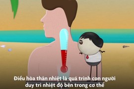 Video: Tại sao con người lại đổ mồ hôi?