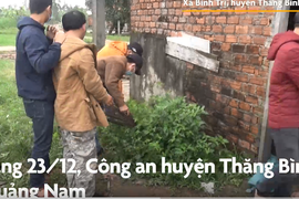 Video : Cảnh sát triệt phá đường dây phân phối ma tuý