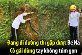 Gái xinh Nghệ An tay không bắt rắn hổ mang