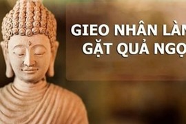 Gieo giống thiện lành từ việc làm thiện tâm ắt có phúc báo muôn đời