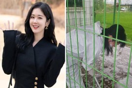 Ngôi sao nổi tiếng như Jang Nara cũng phải đi dọn vệ sinh giữa mùa dịch