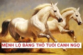 Tháng 8 phú quý, tháng 9 đón vượng khí: Người mệnh này cầu được ước thấy