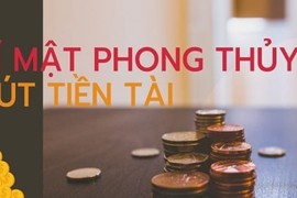 5 mẹo phong thủy giúp mời gọi tiền bạc vào nhà