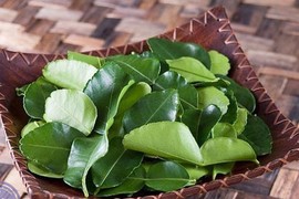 Lá chanh ở Việt Nam mọc đầy vườn, mang sang nước ngoài bán 6,35 triệu đồng/kg