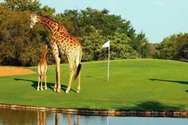 Những sân golf kỳ lạ nhất thế giới