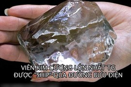 Cú lừa 400 triệu đô: Thuê vệ sĩ bảo vệ viên kim cương “fake“