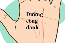 Nhìn đường chỉ tay công danh, biết ngay ai vượng phát, ai lận đận khó khăn