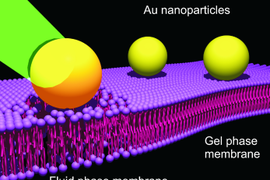 Chống ung thư bằng hạt nano