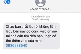 Sự thật phía sau những tin nhắn mời làm việc tại nhà lương cao