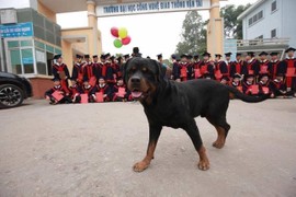 Cười ngất với "người lạ" không học chung nhưng cứ muốn chụp cùng kỷ yếu