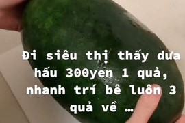 Mua dưa hấu rẻ bèo tại Nhật, thanh niên “ngậm đắng nuốt cay” 