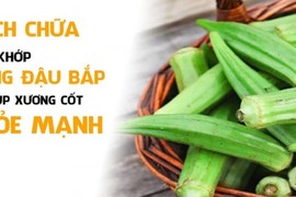 Đau xương khớp cứ mua đậu bắp về làm theo cách này